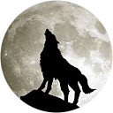 -16ch Hio profile picture